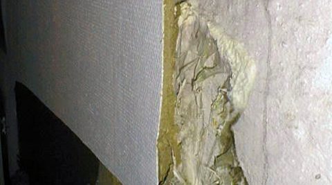 opfugtet vægbeklædning af porøse træfiberplader med angreb af Ægte Hussvamp