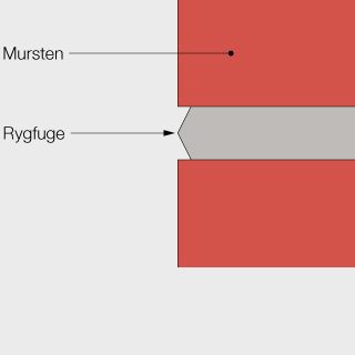 Rygfuge